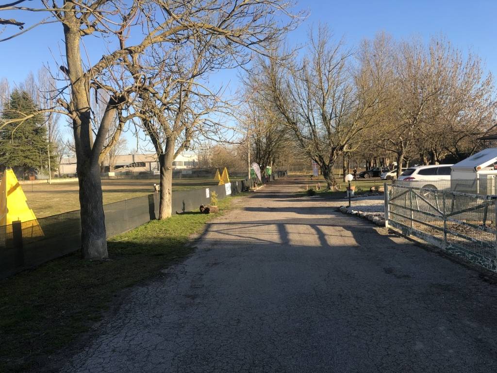 immagine annuncio 4 di 6