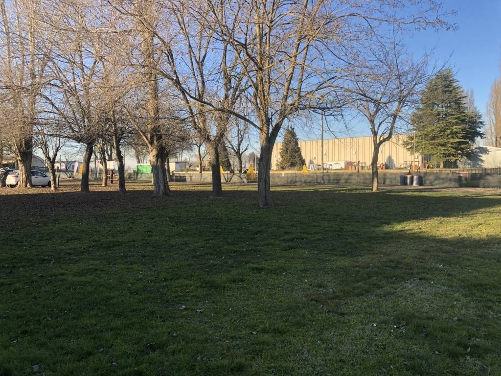 immagine annuncio 5 di 6