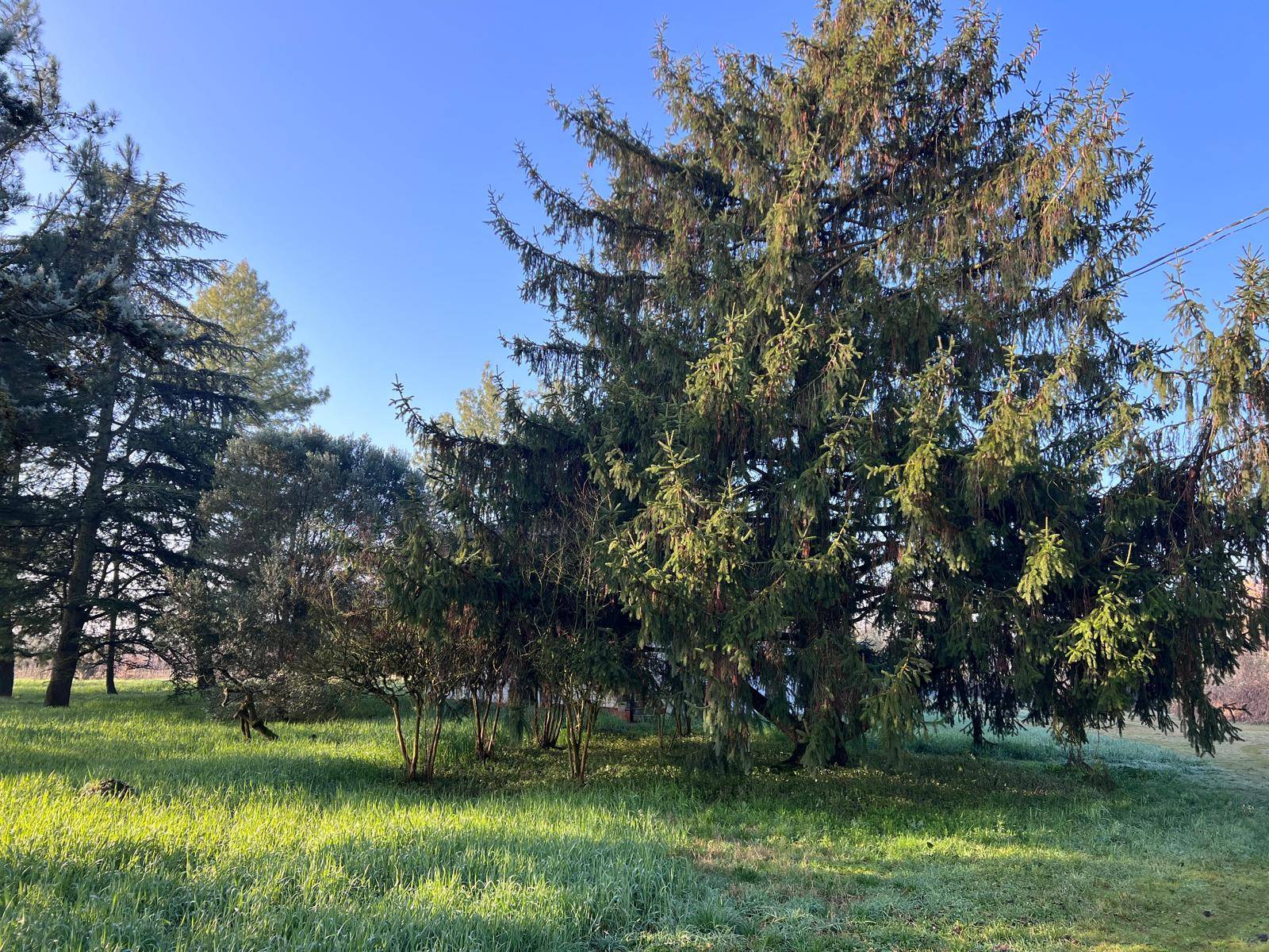 villa singola con parco in vendita a Ferrara, via ravenna