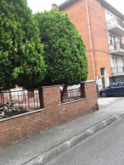 bilocale in affitto a Ferrara, Borgo Punta