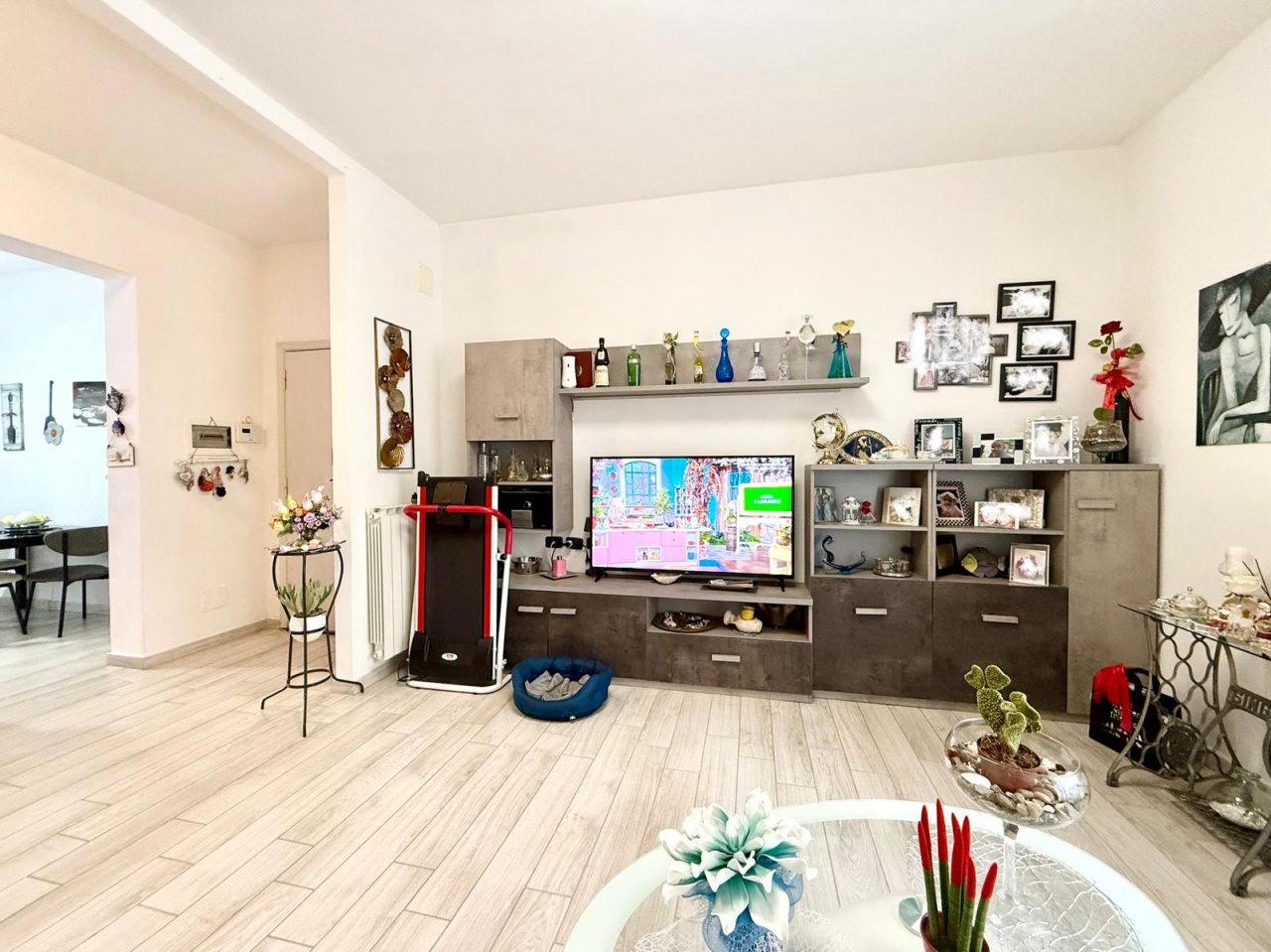 Quadrilocale con terrazzo in via lombardia, Grosseto