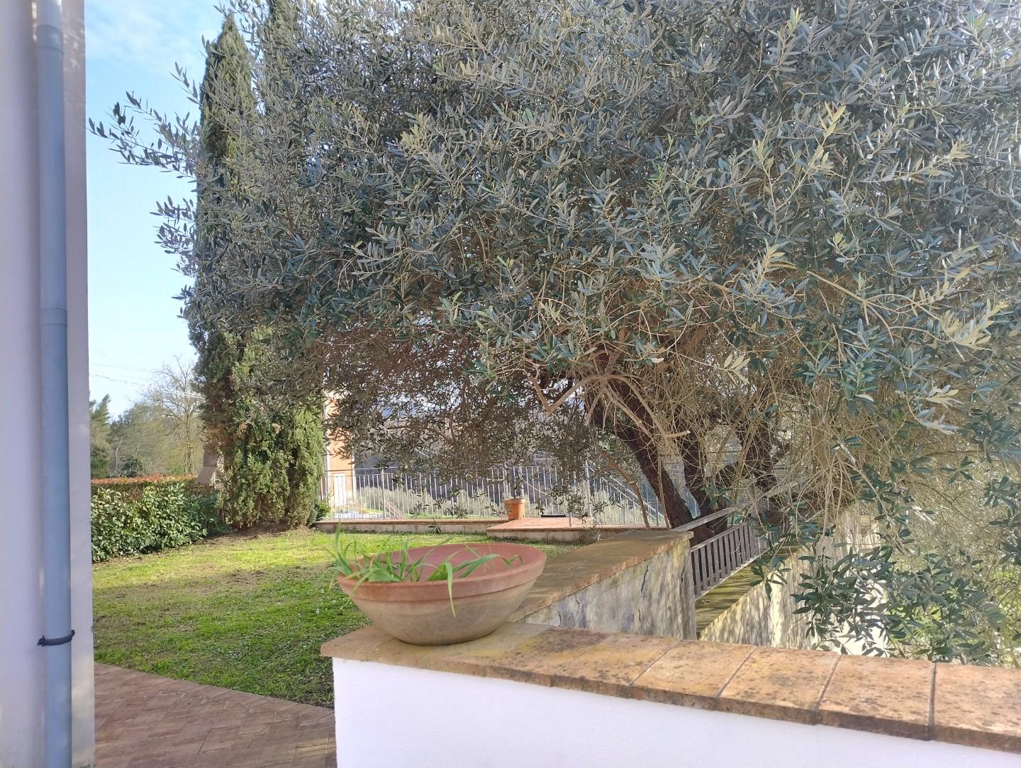 Quadrilocale con giardino, Montopoli in Val d'Arno marti