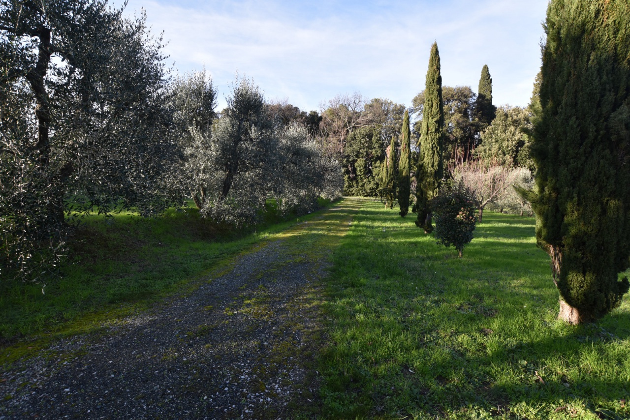 Terreno in vendita a Gambassi Terme