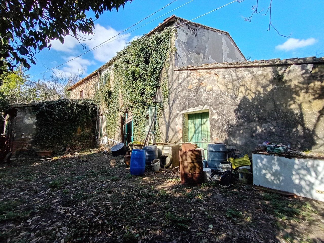 immagine annuncio 2 di 10