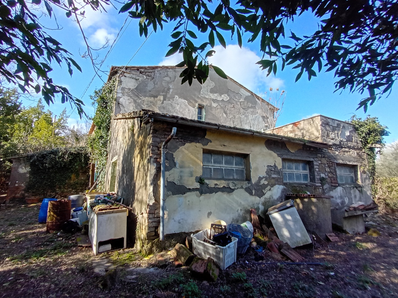 immagine annuncio 4 di 10