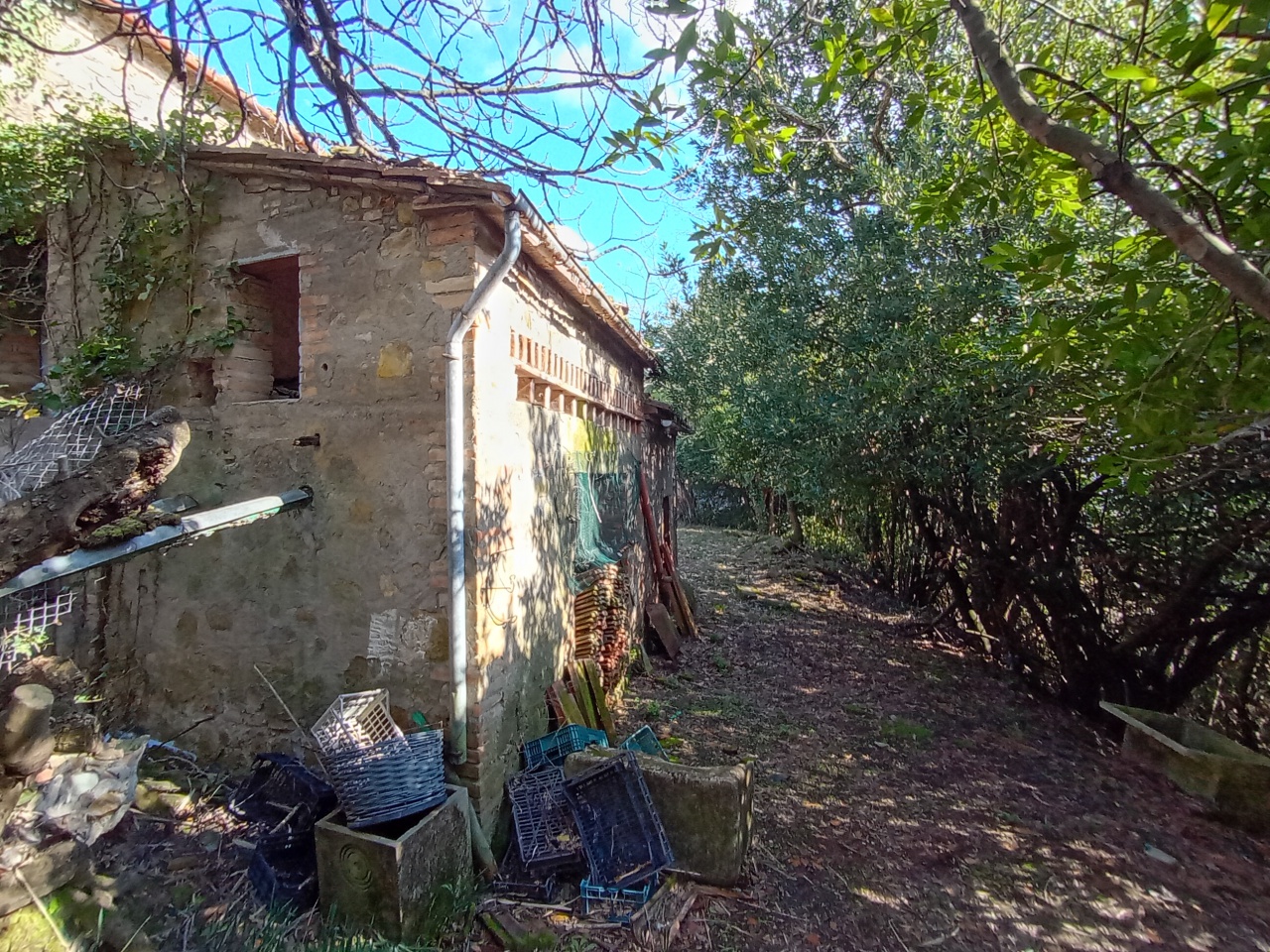 immagine annuncio 8 di 10