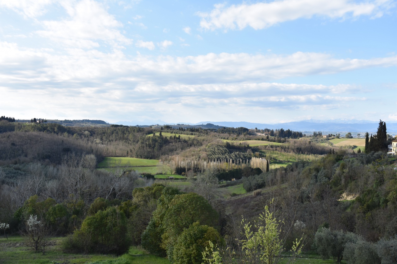 Quadrilocale con box a Castelfiorentino