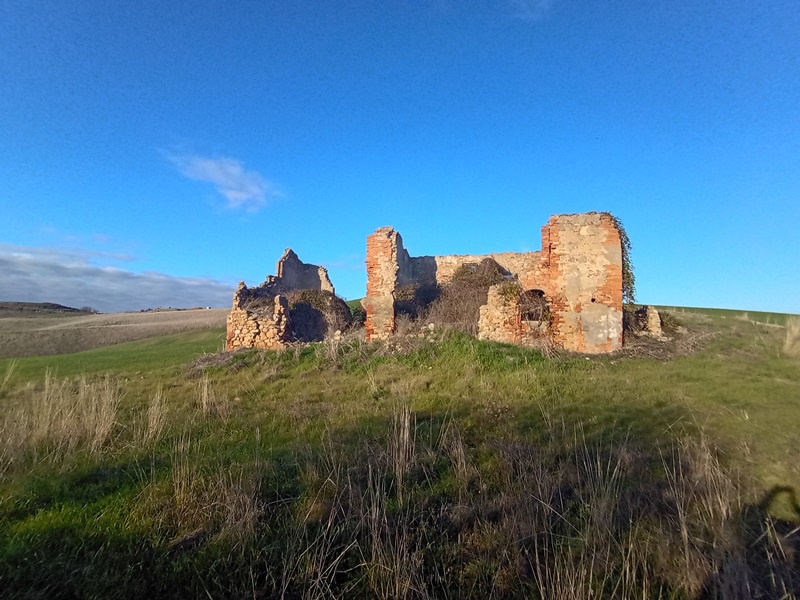 Rustico con giardino a Peccioli