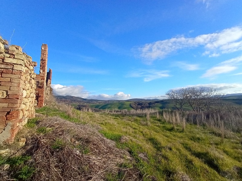 Rustico con giardino a Peccioli