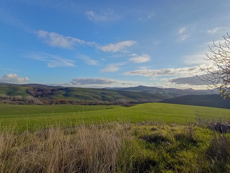 Rustico con giardino a Peccioli