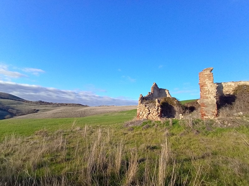 Rustico con giardino a Peccioli