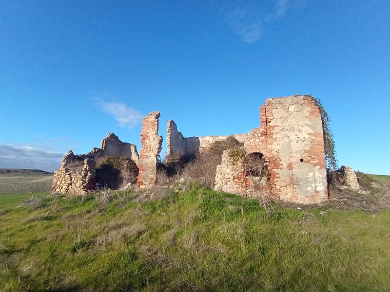 Rustico con giardino a Peccioli