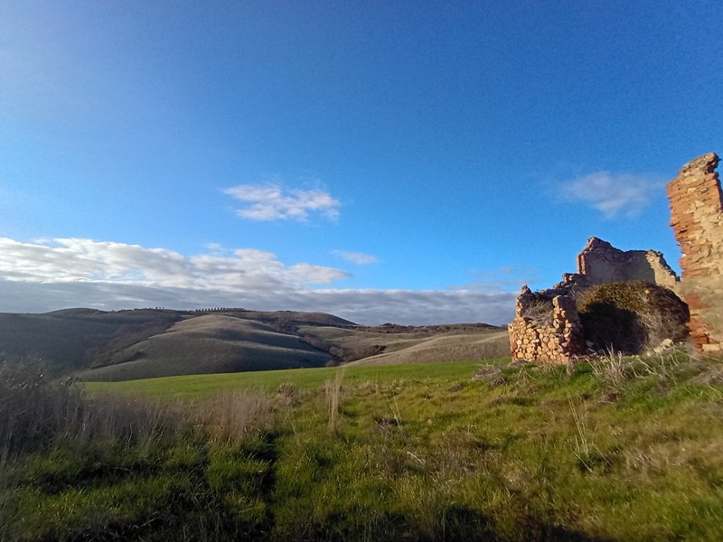 Rustico con giardino a Peccioli