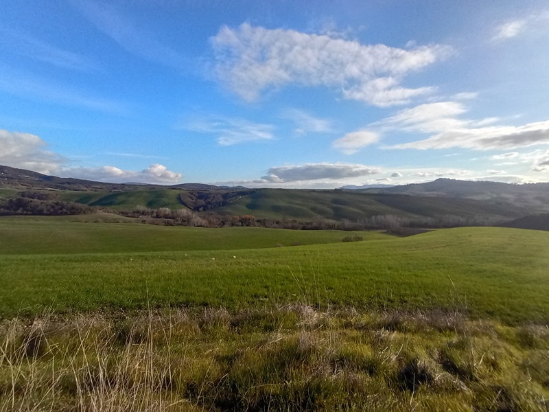 Rustico con giardino a Peccioli