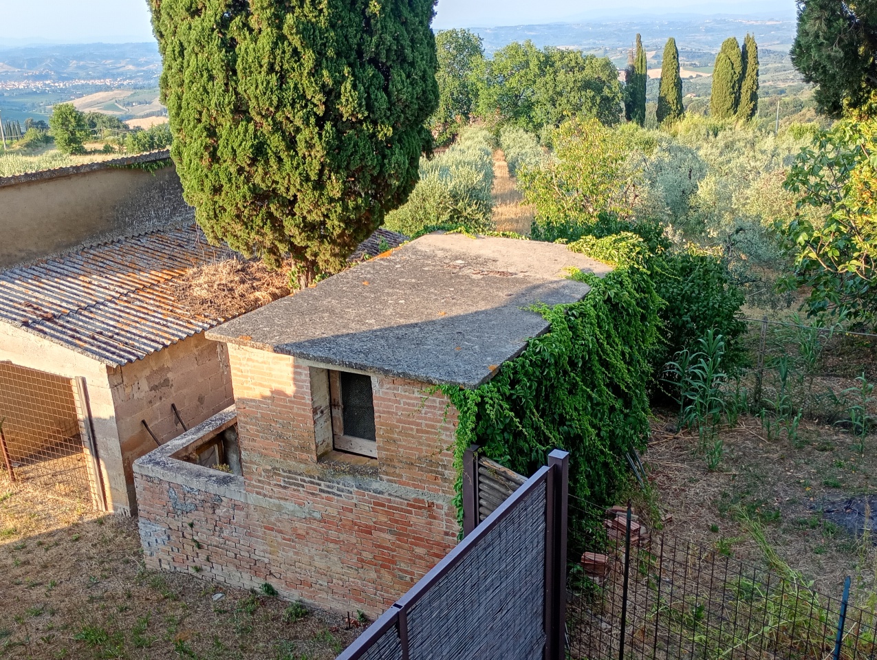 Casa indipendente con giardino a San Gimignano