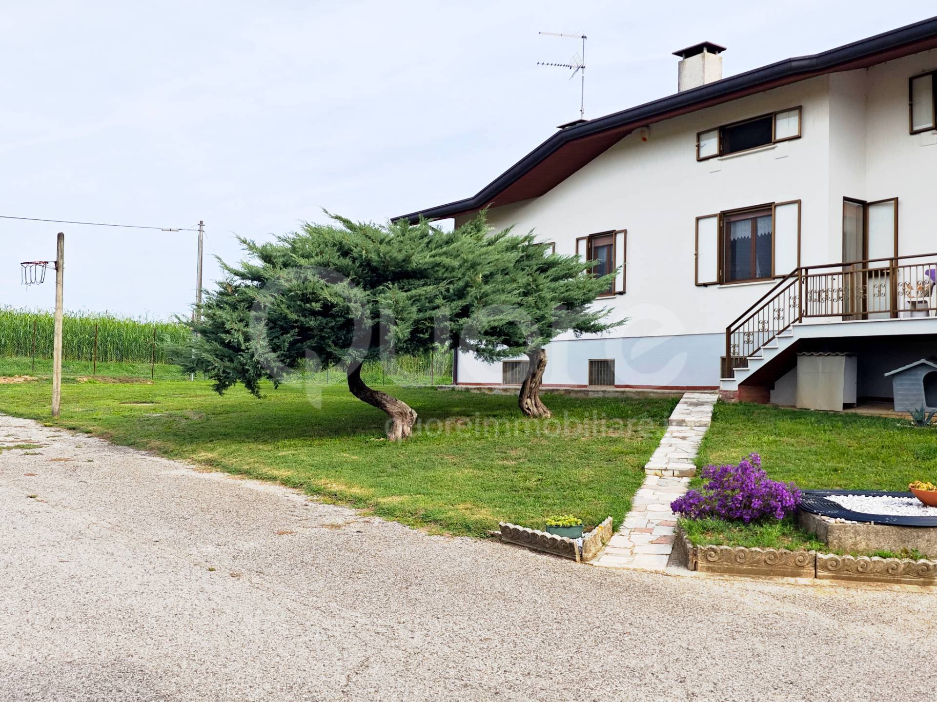 Villa d\'epoca / indipendente in vendita a Colloredo di Monte Albano