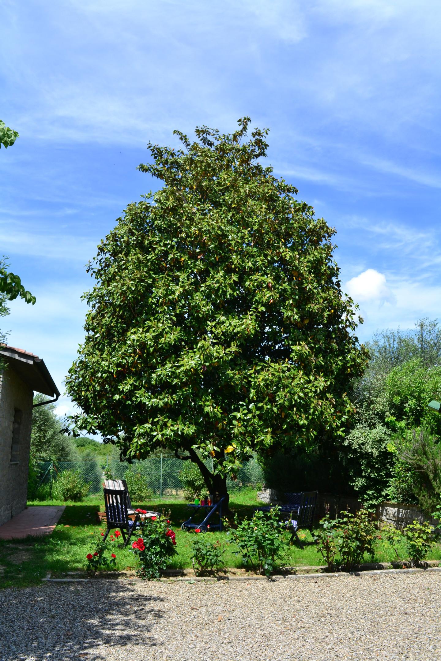 Villa con giardino, Siena pieve a bozzone