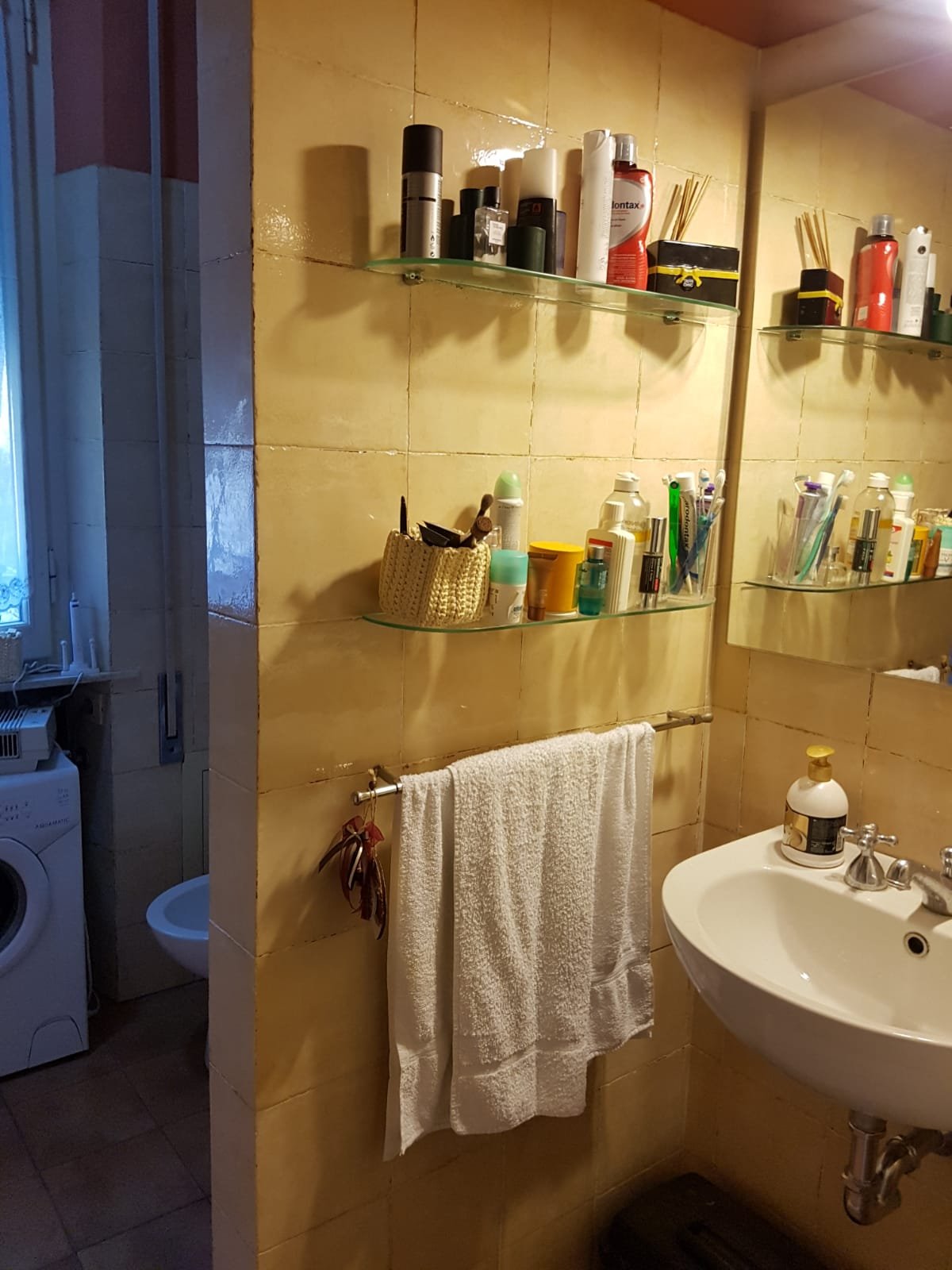 Bilocale in affitto a Siena