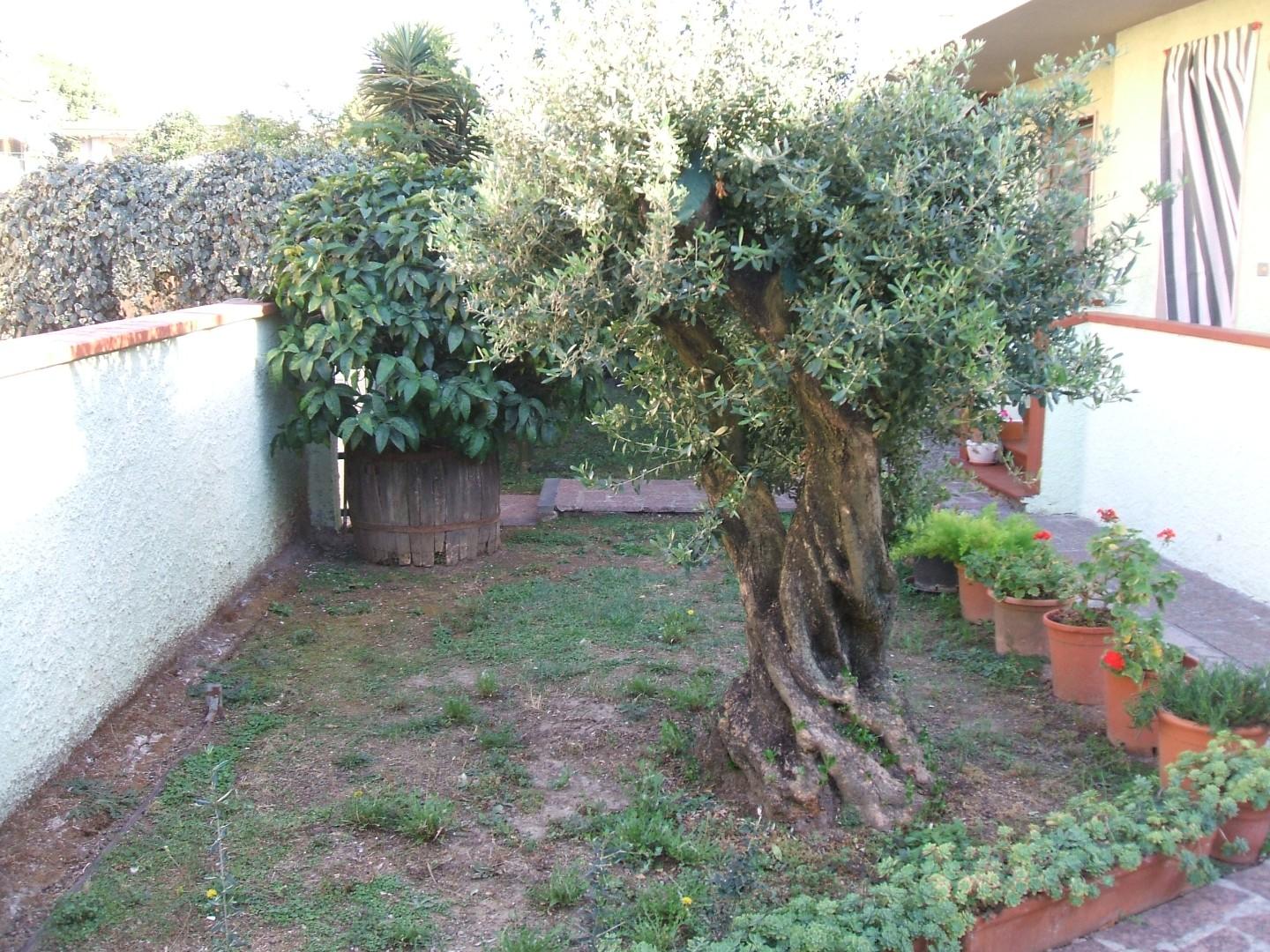 Casa indipendente con giardino, Vecchiano nodica