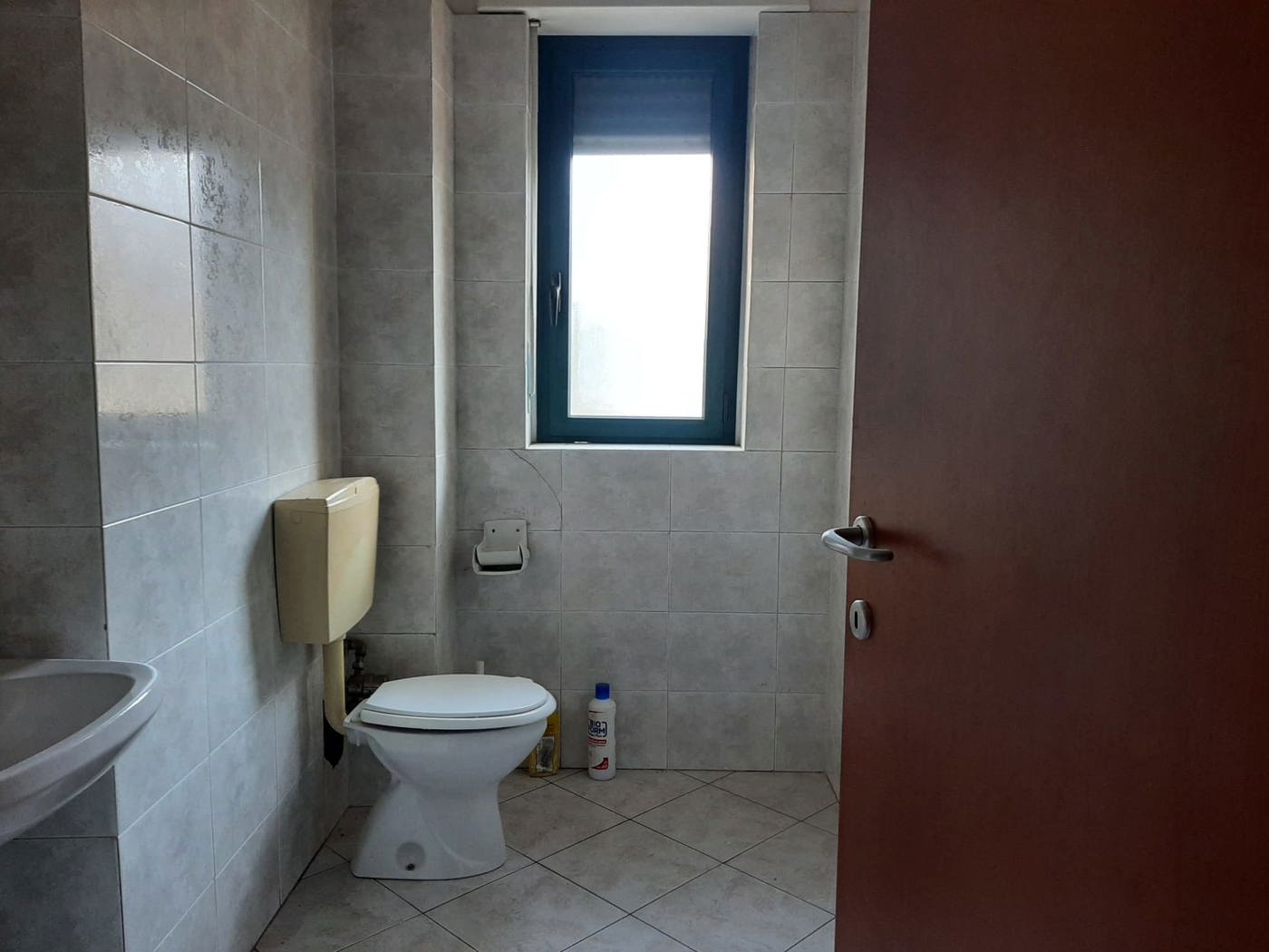 immagine annuncio 7 di 8