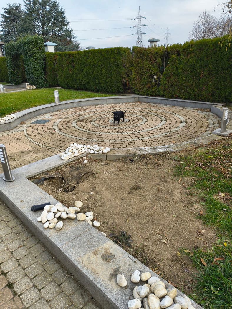 immagine annuncio 6 di 10