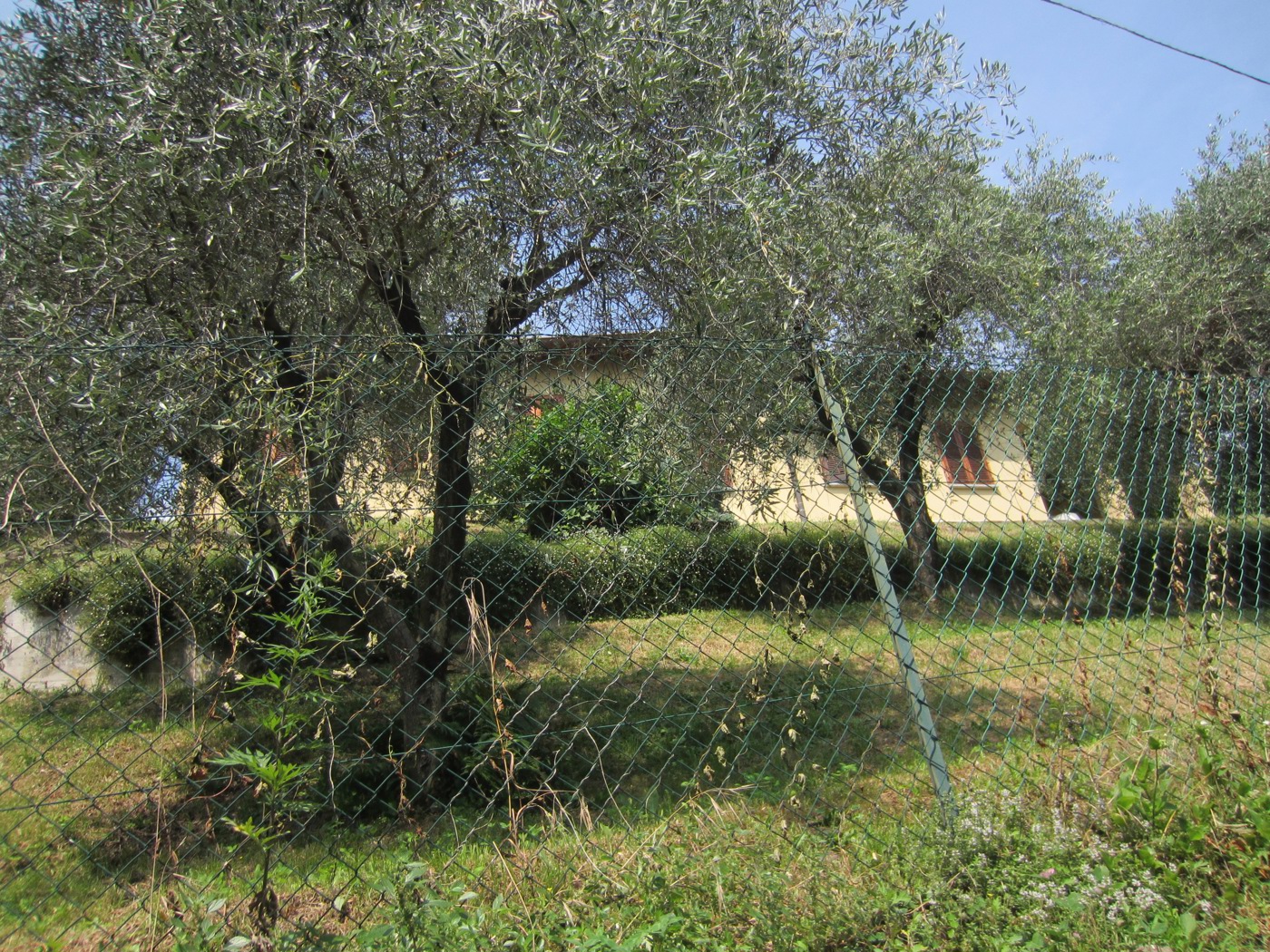 Villa vista lago a Oliveto Lario