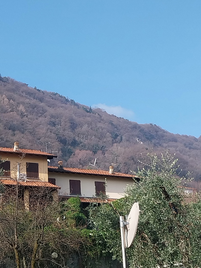 Villa in vendita a Oliveto Lario