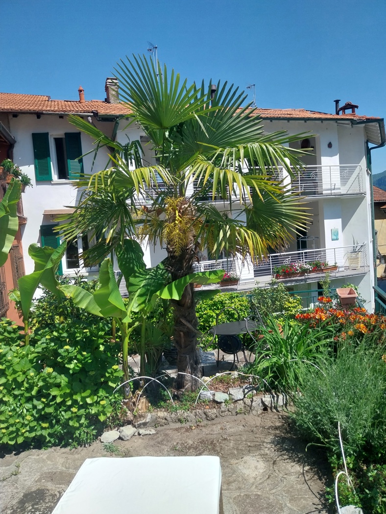 Stabile/Palazzo in vendita a Oliveto Lario
