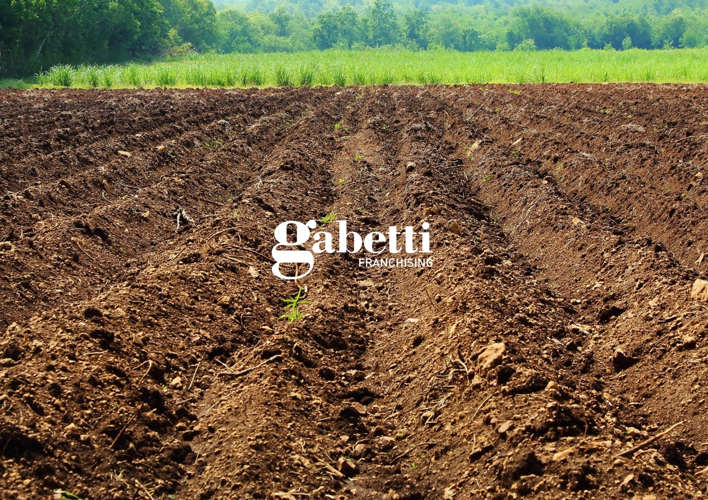 Terreno Agricolo in vendita a Arre