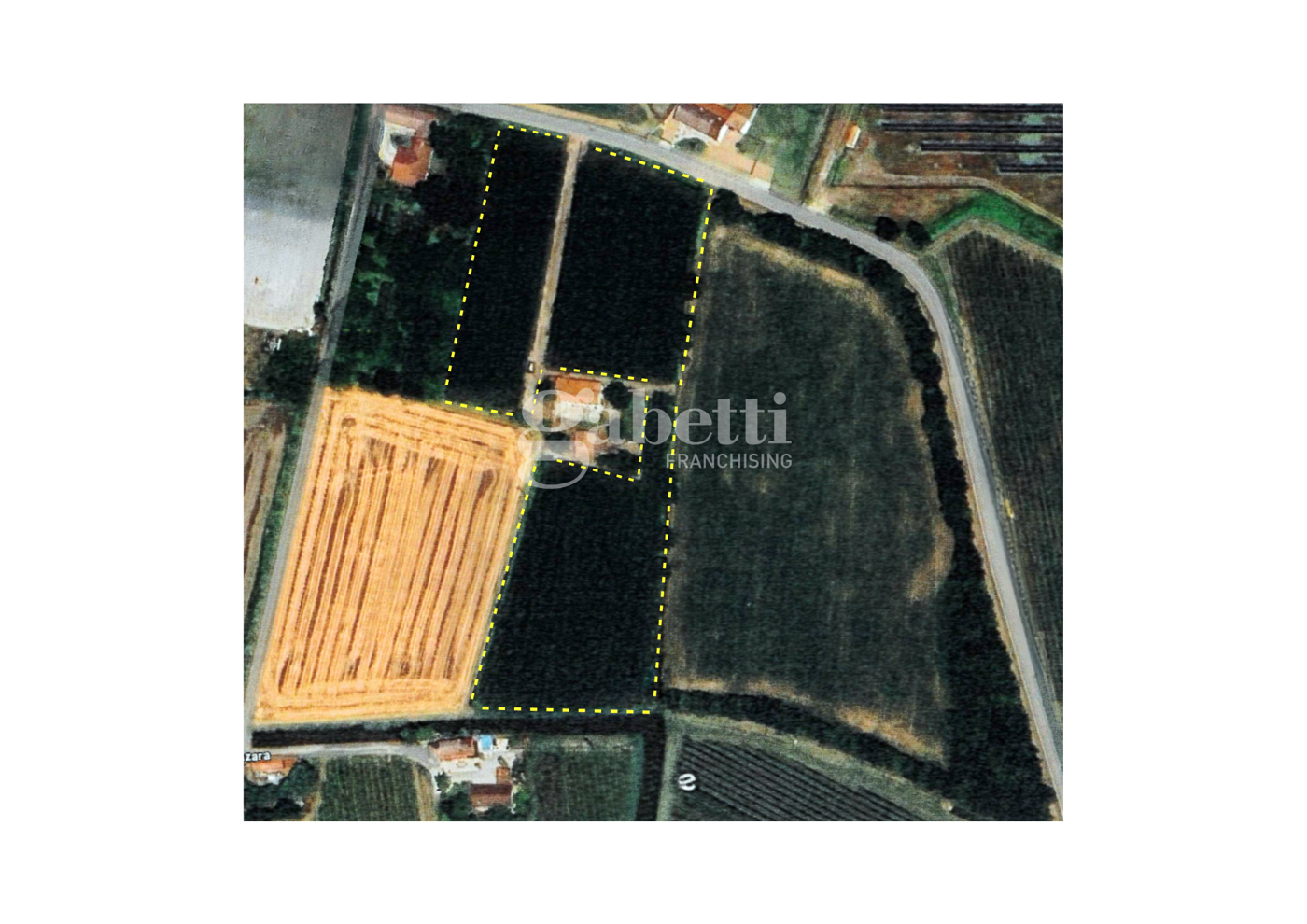 Terreno Agricolo in vendita a Conselve