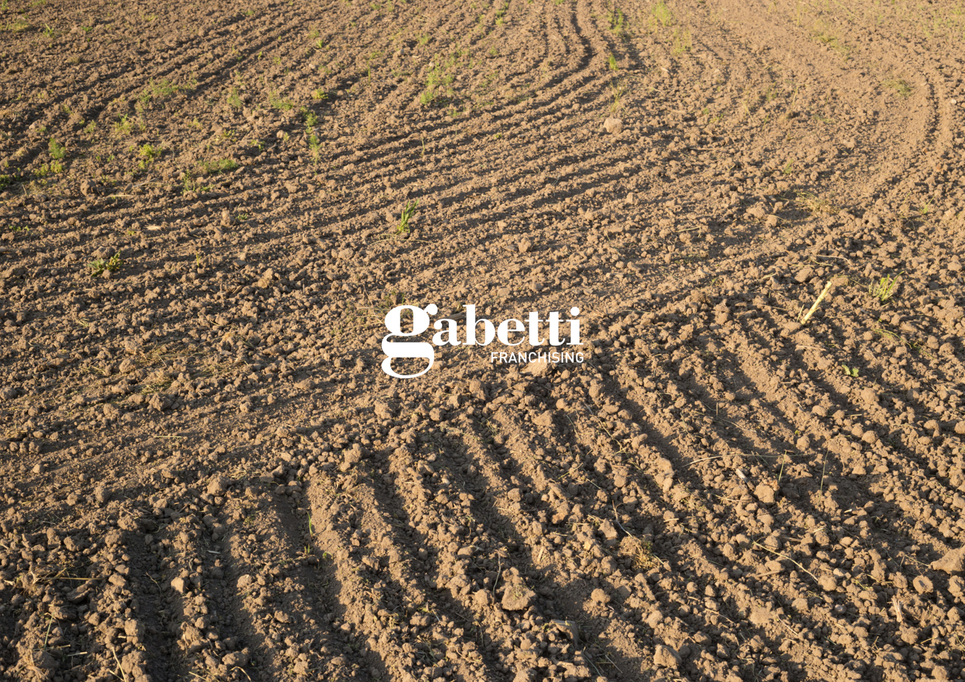 Terreno Agricolo in vendita a Cartura