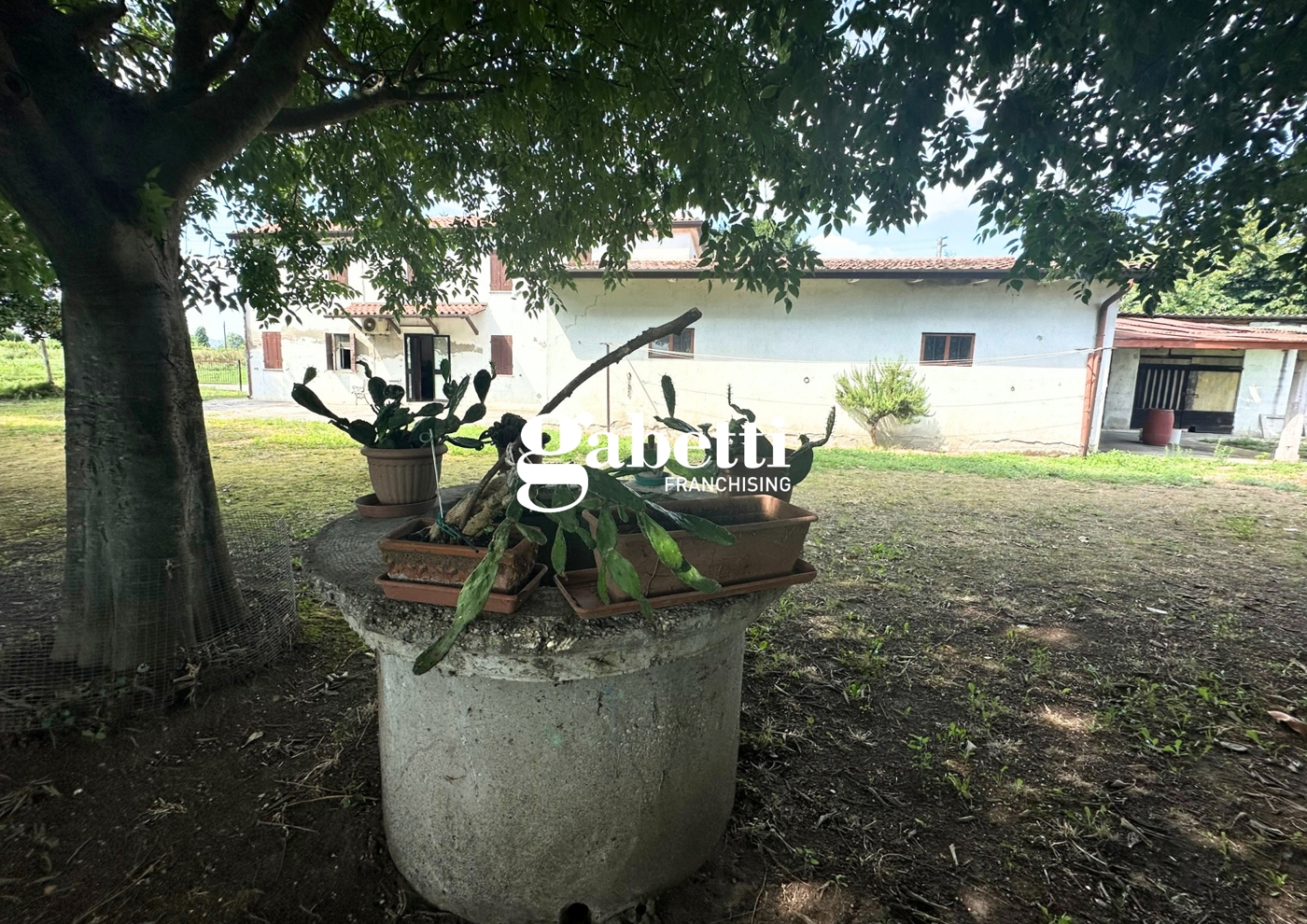 Casa indipendente con giardino a Tribano