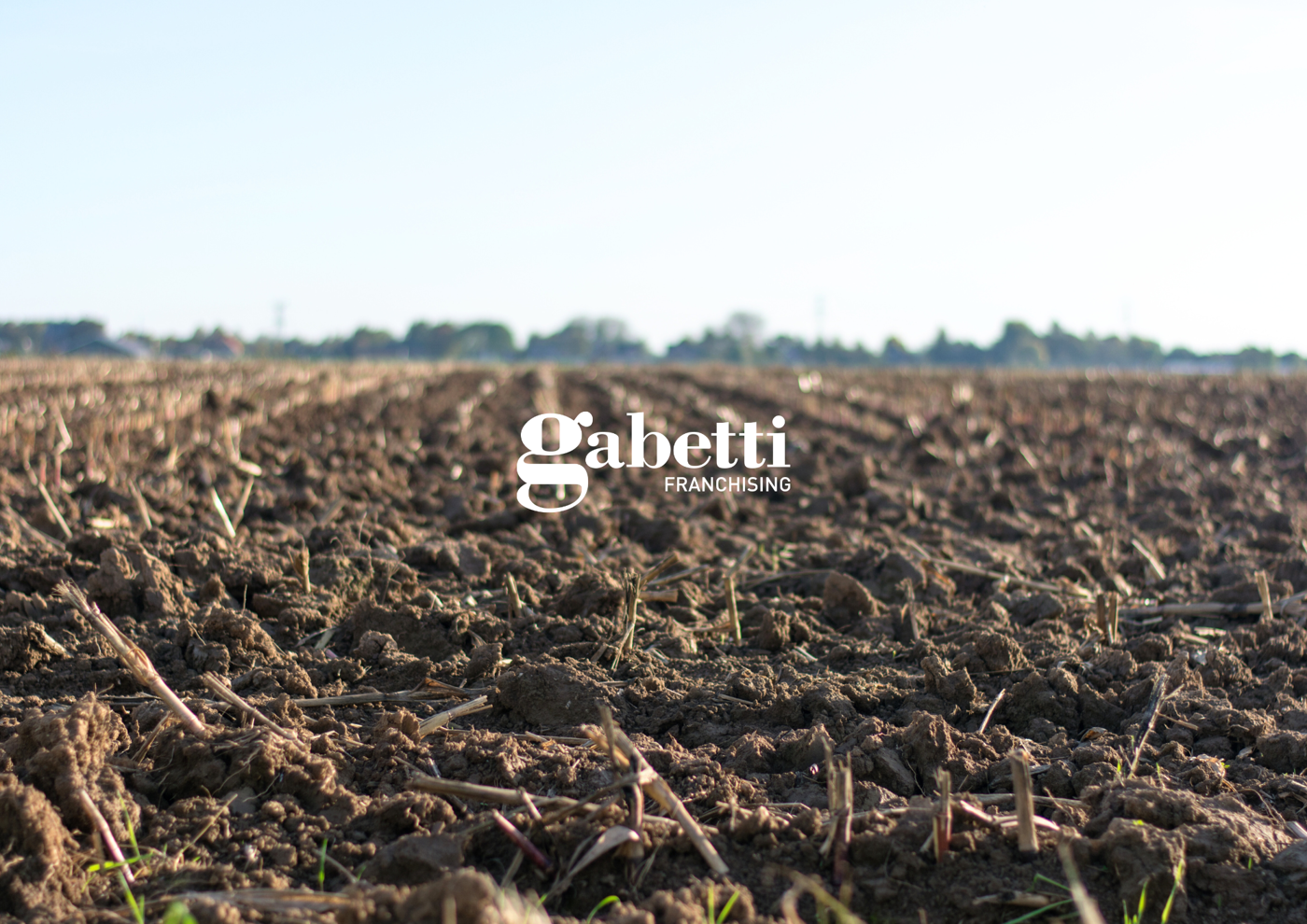 Terreno Agricolo in vendita a Conselve