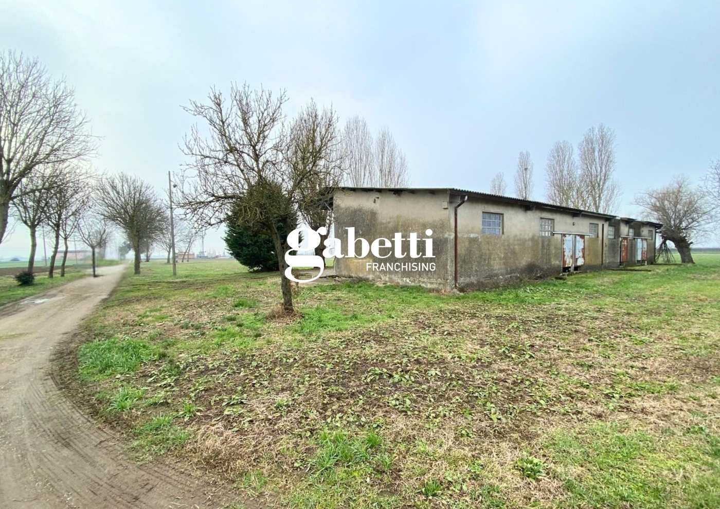 Terreno Agricolo in vendita a Candiana