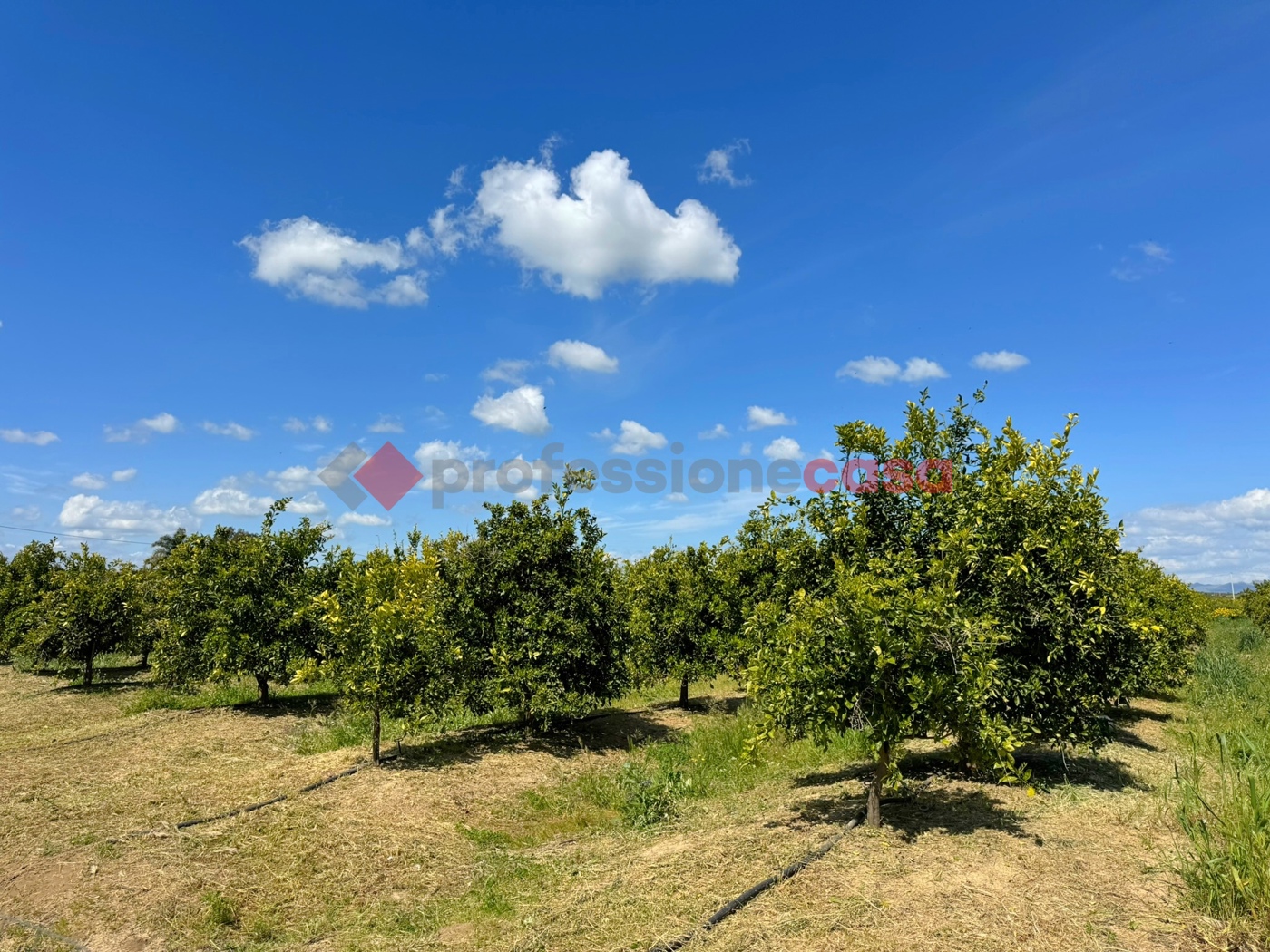 Rustico con giardino a Ramacca