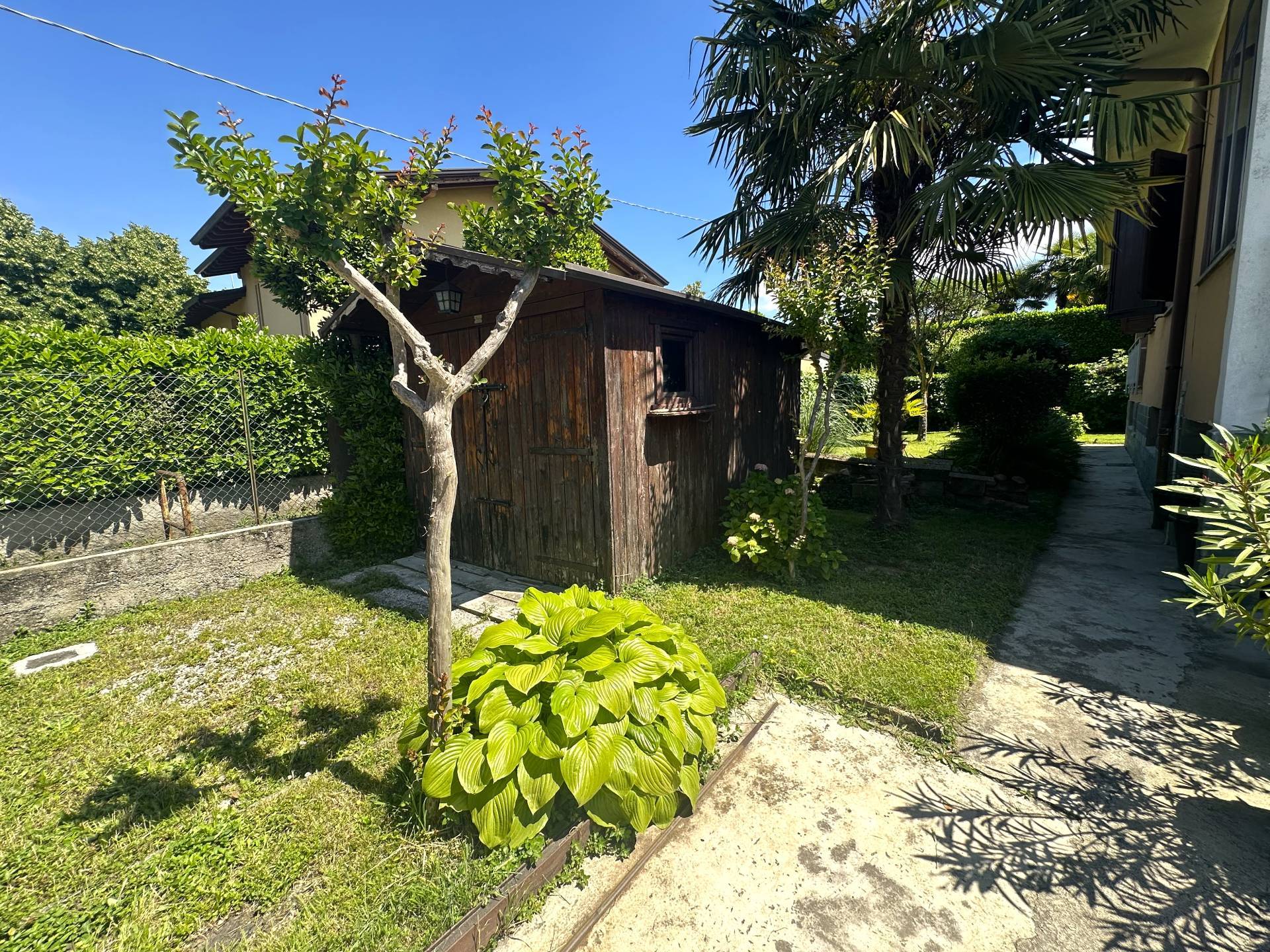 immagine annuncio 2 di 10