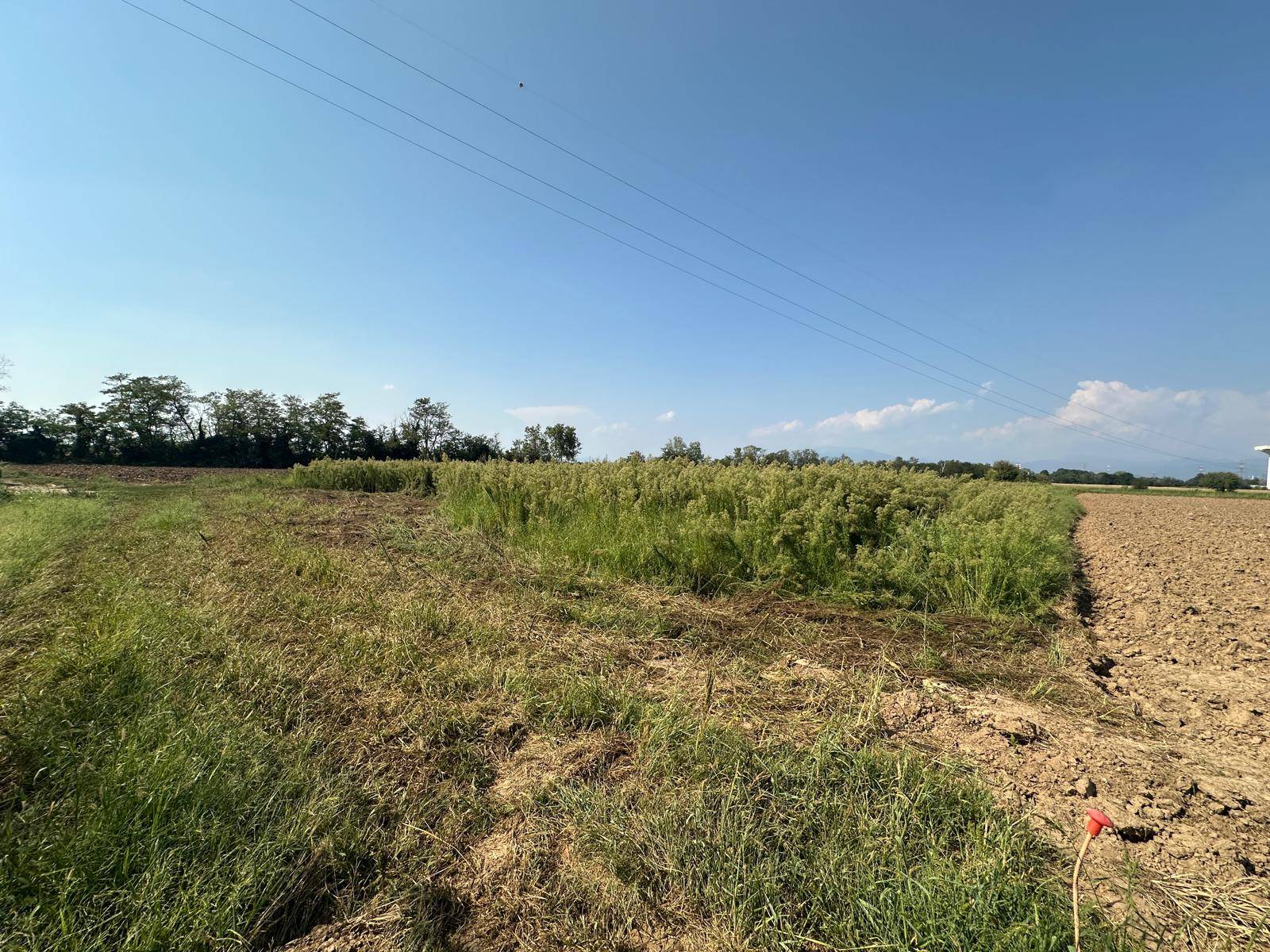 Terreno Agricolo in vendita a Osio Sotto