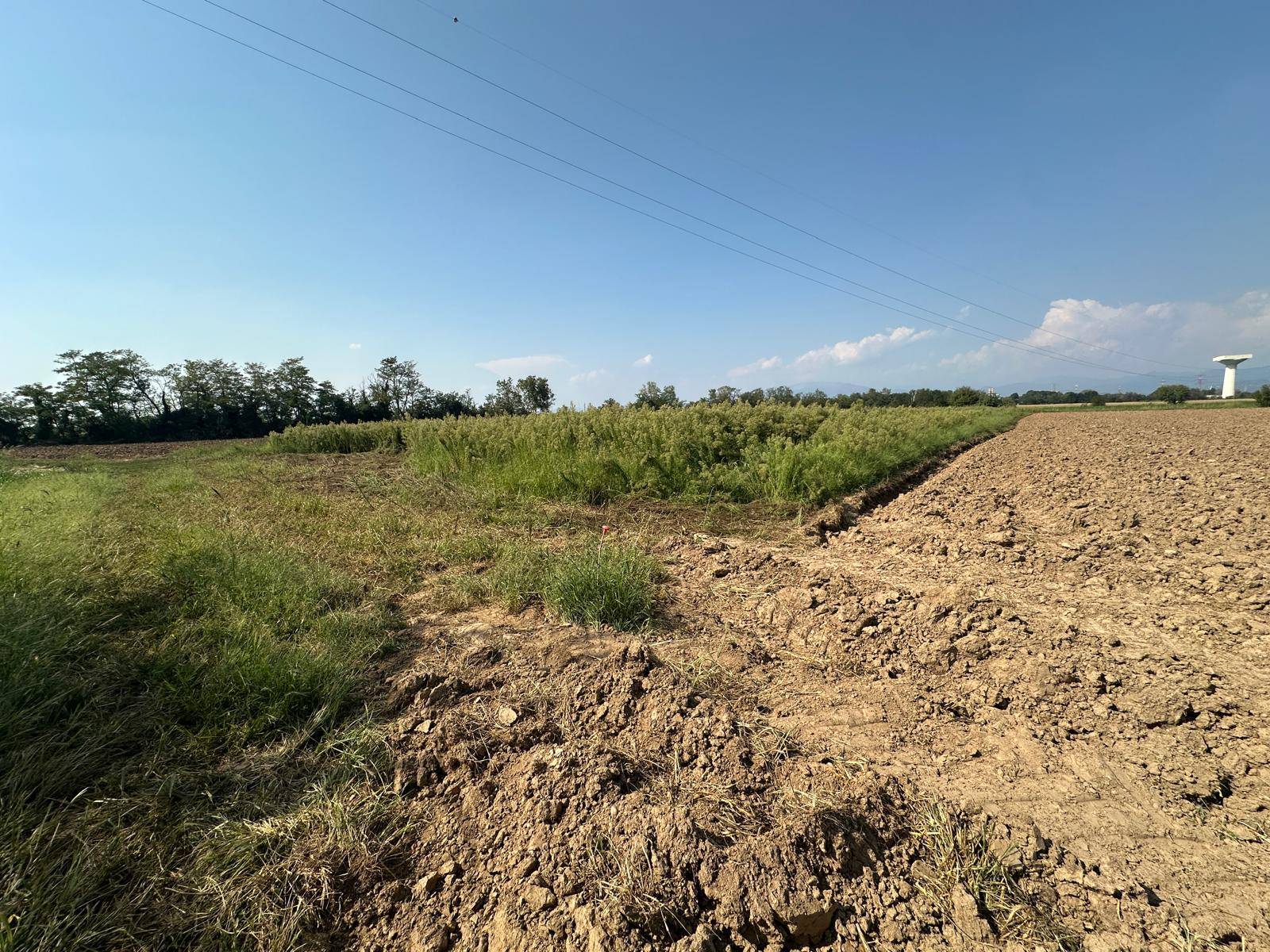 Terreno Agricolo in vendita a Osio Sotto