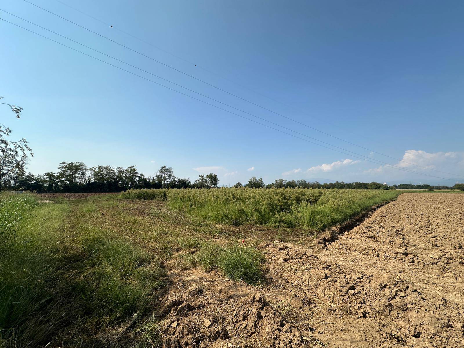 Terreno Agricolo in vendita a Osio Sotto
