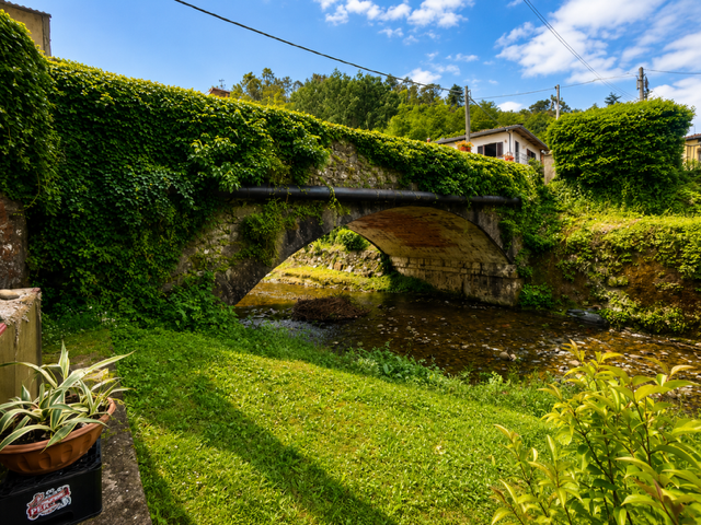 Rustico con giardino, Massarosa quiesa
