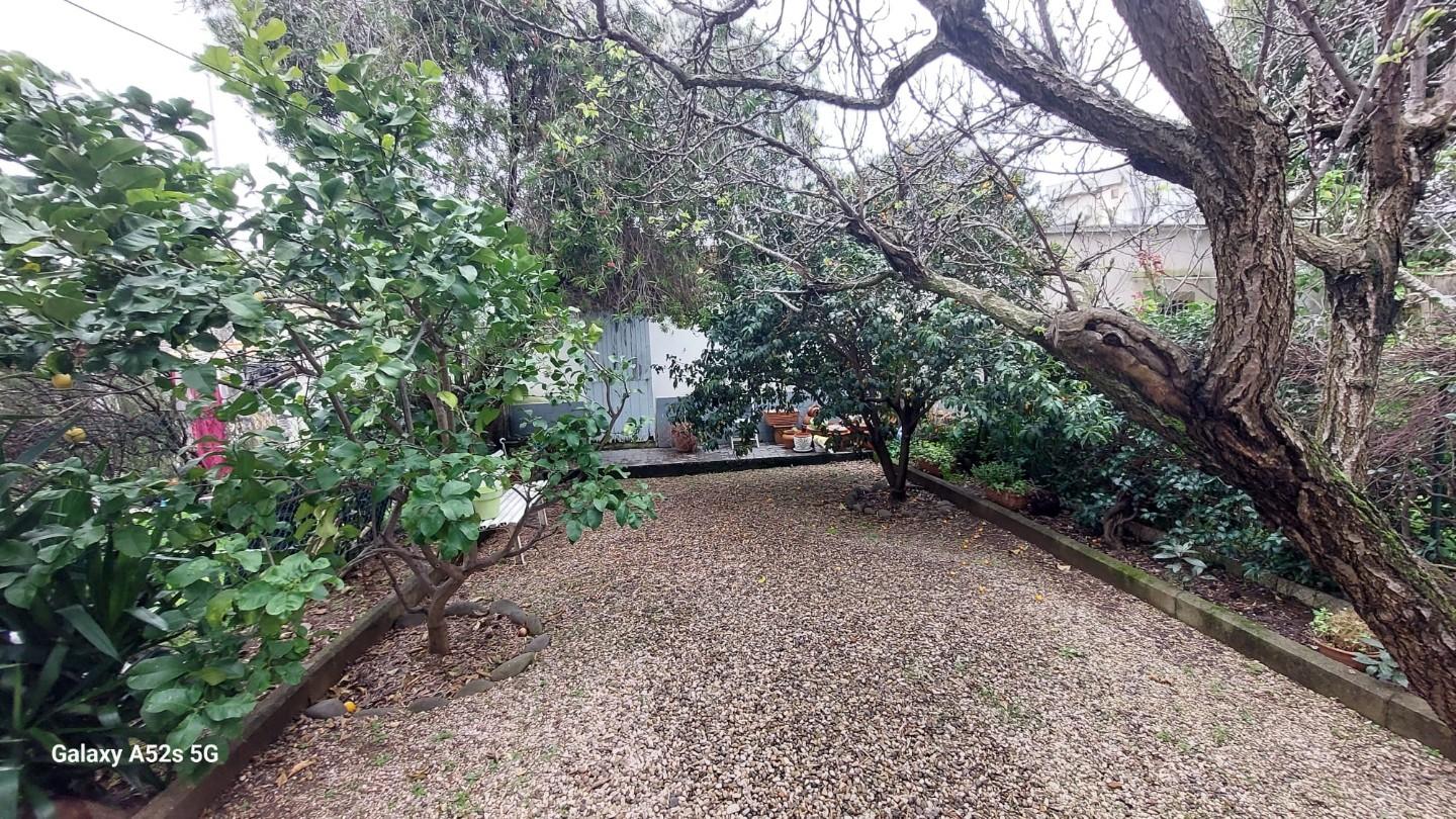 Appartamento con giardino, Livorno colline