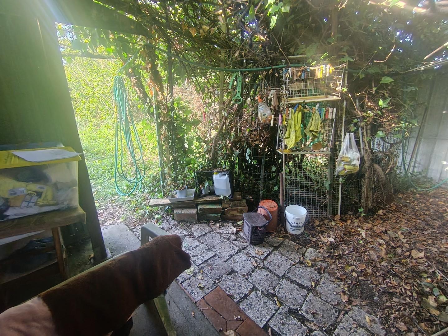 Terreno Agricolo in vendita, Livorno salviano