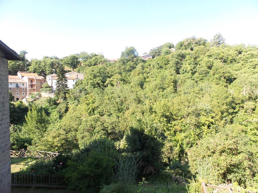 Appartamento in vendita a Caprarola, Centro storico