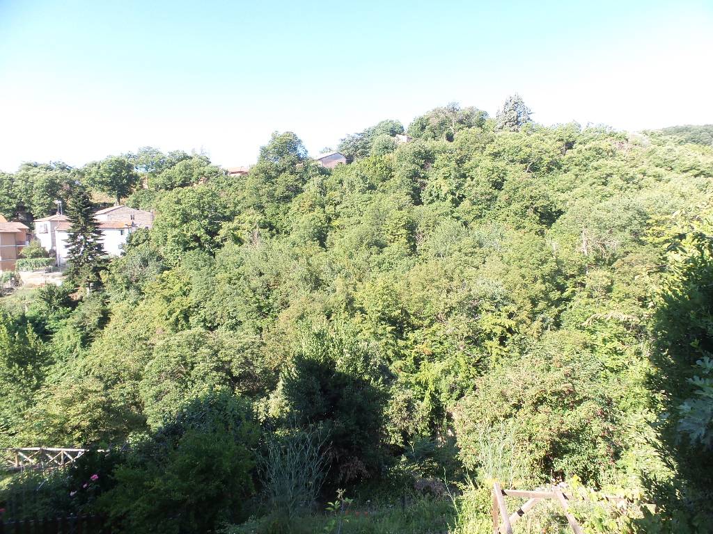 Appartamento in vendita a Caprarola, Centro storico