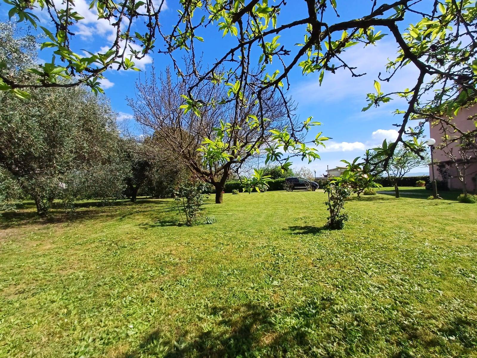 Villa in vendita a Caprarola