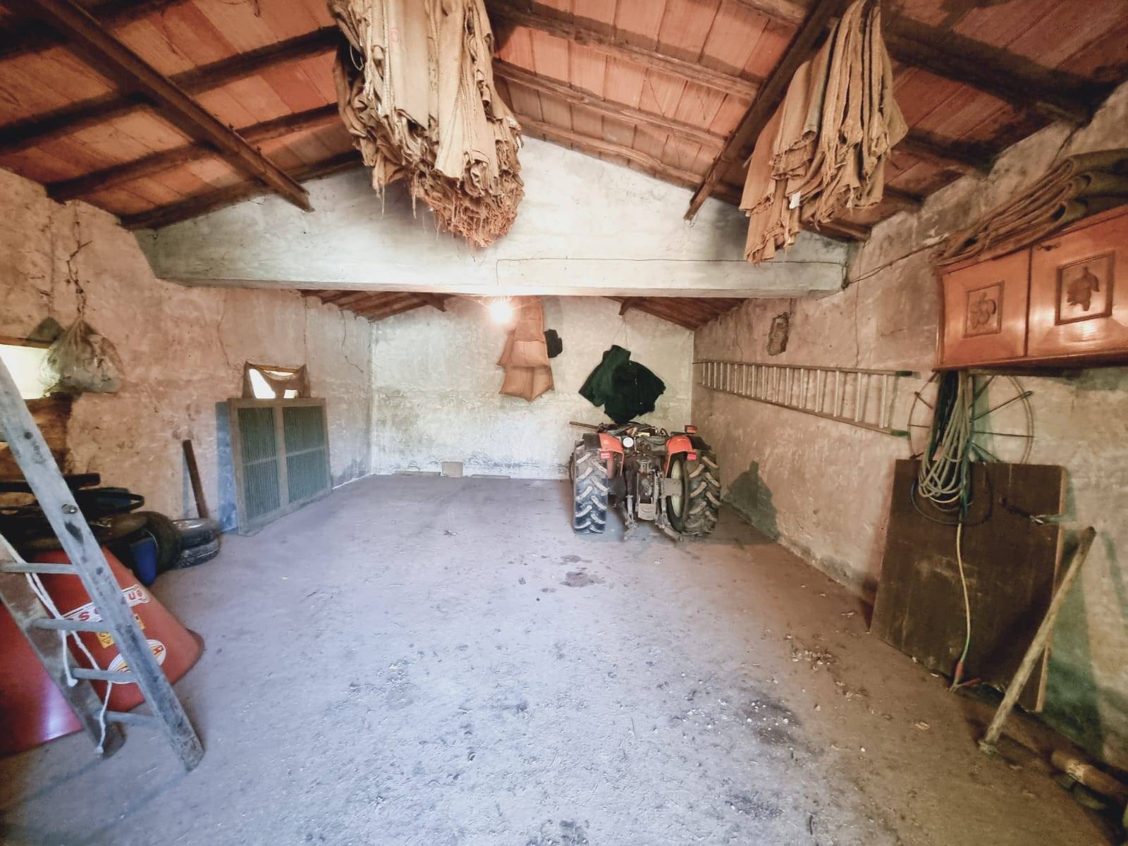 Terreno Agricolo in vendita a Gallese