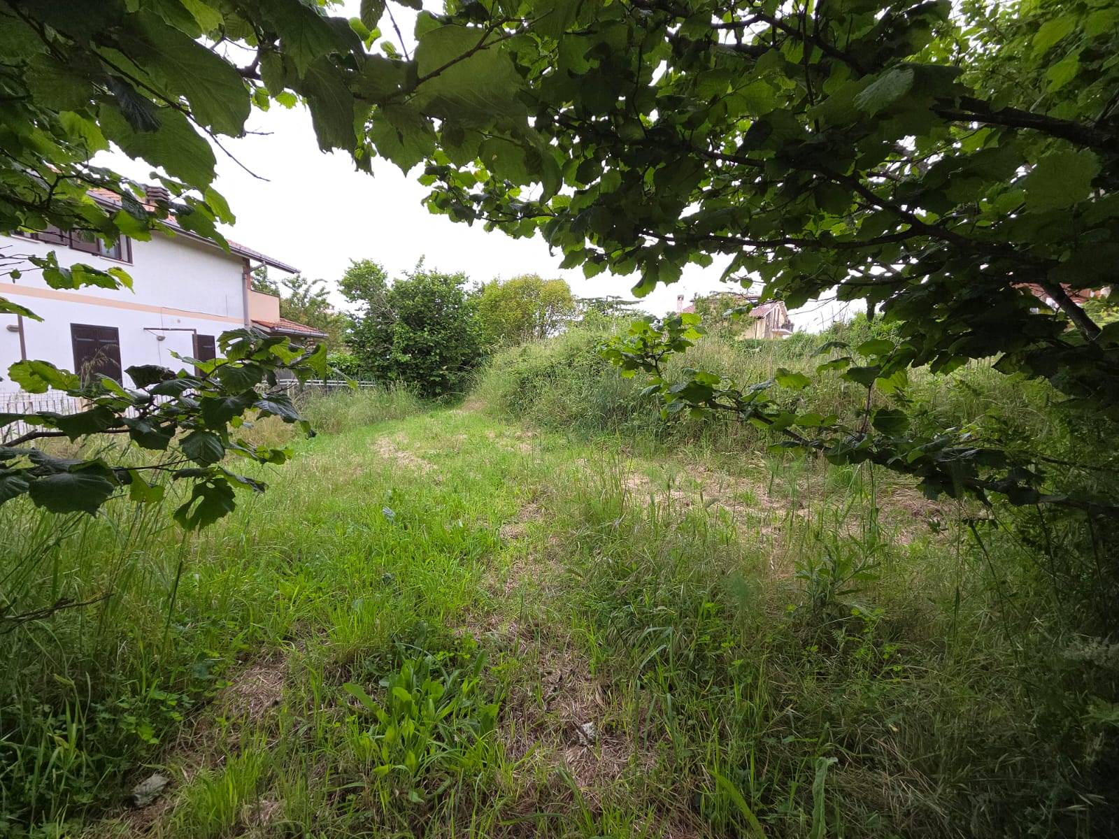 Terreno edificabile in vendita a Caprarola