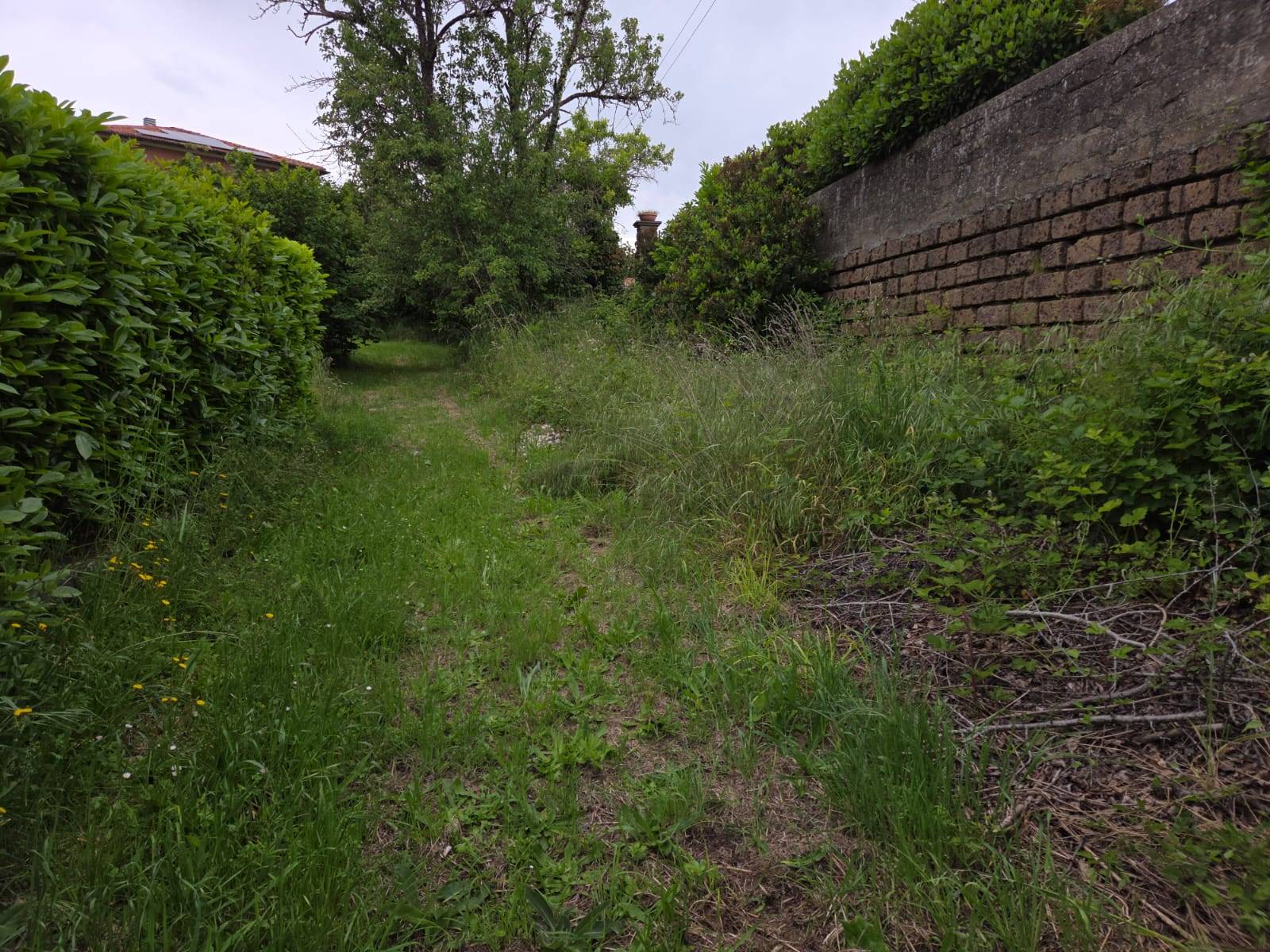 Terreno edificabile in vendita a Caprarola