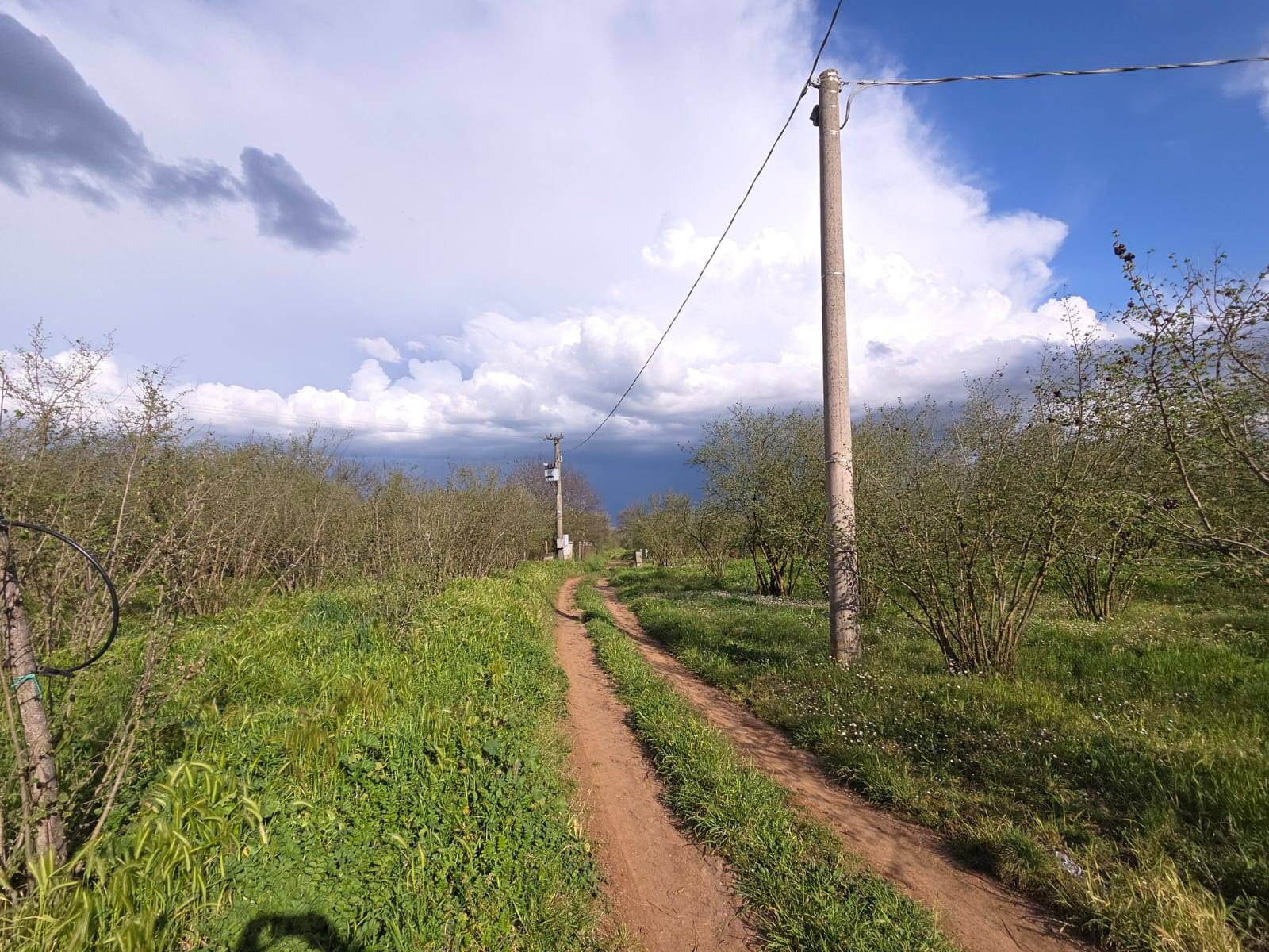 Terreno Agricolo in vendita a Gallese