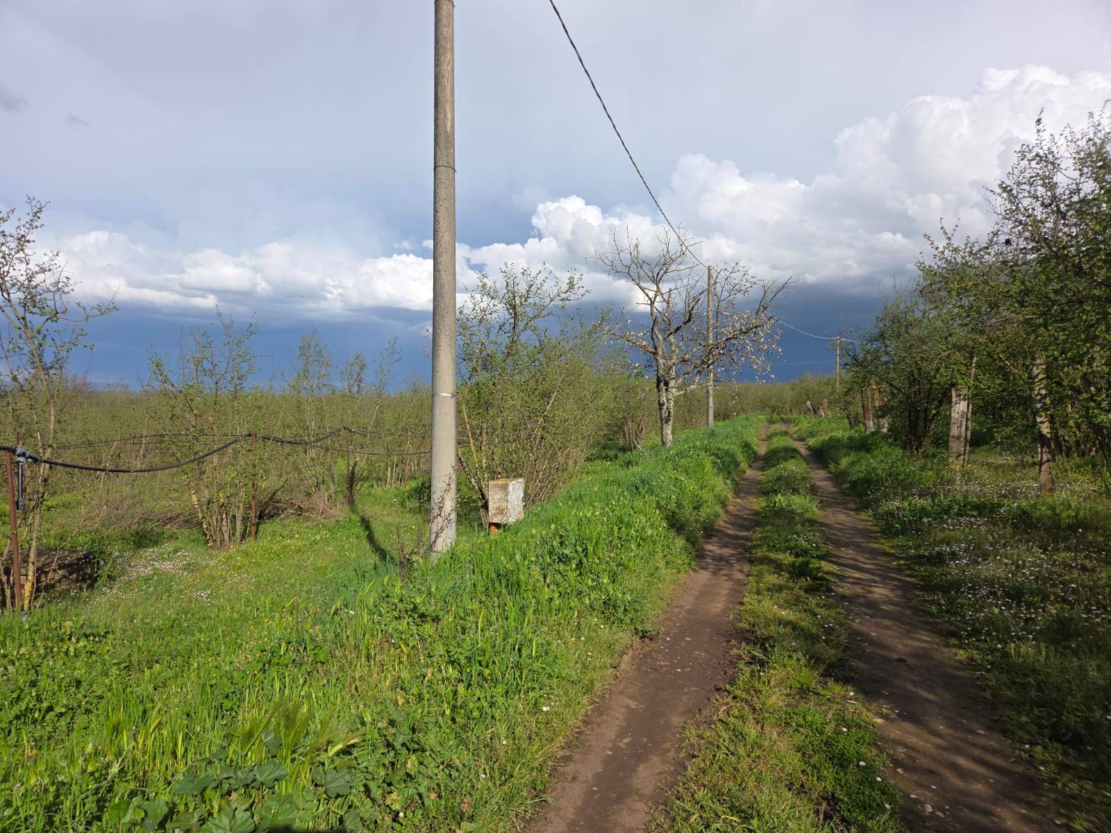 Terreno Agricolo in vendita a Gallese